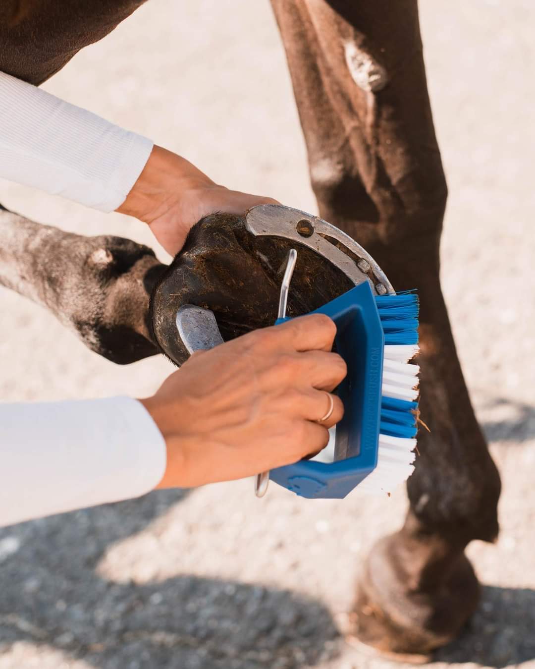 Person cleaning a horse's hoof with a brush on a gravel surface