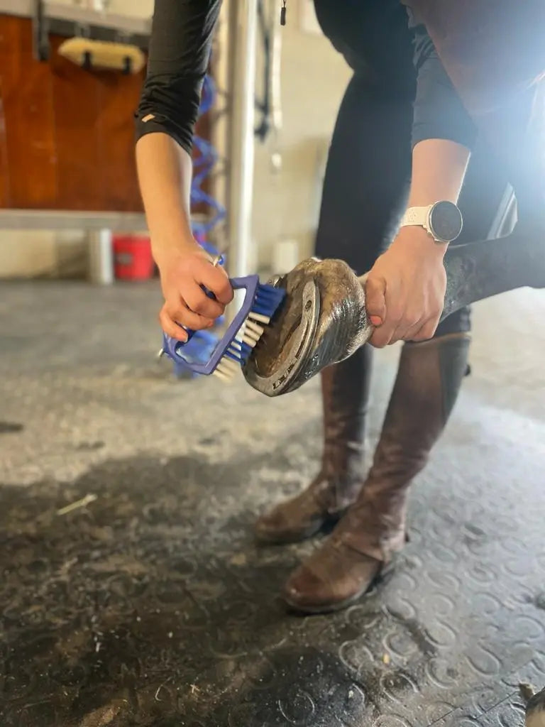 Person using pickbrush on a horse's hoof in a stable.